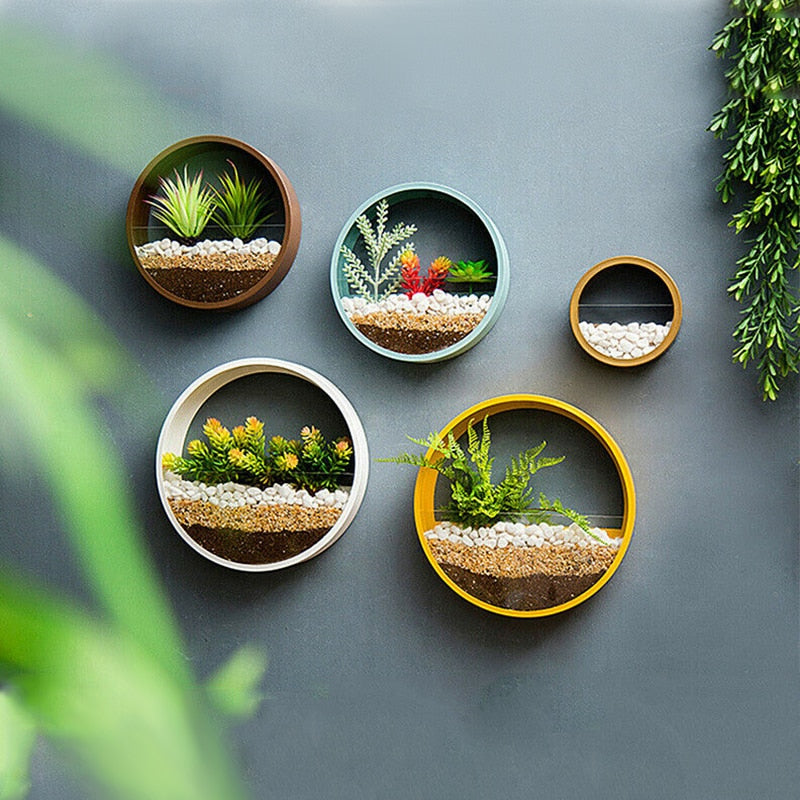 succulent plants wall hanging Nordic Decorative Wall Mounted Succulent Plant Habitat – Monstera Drive